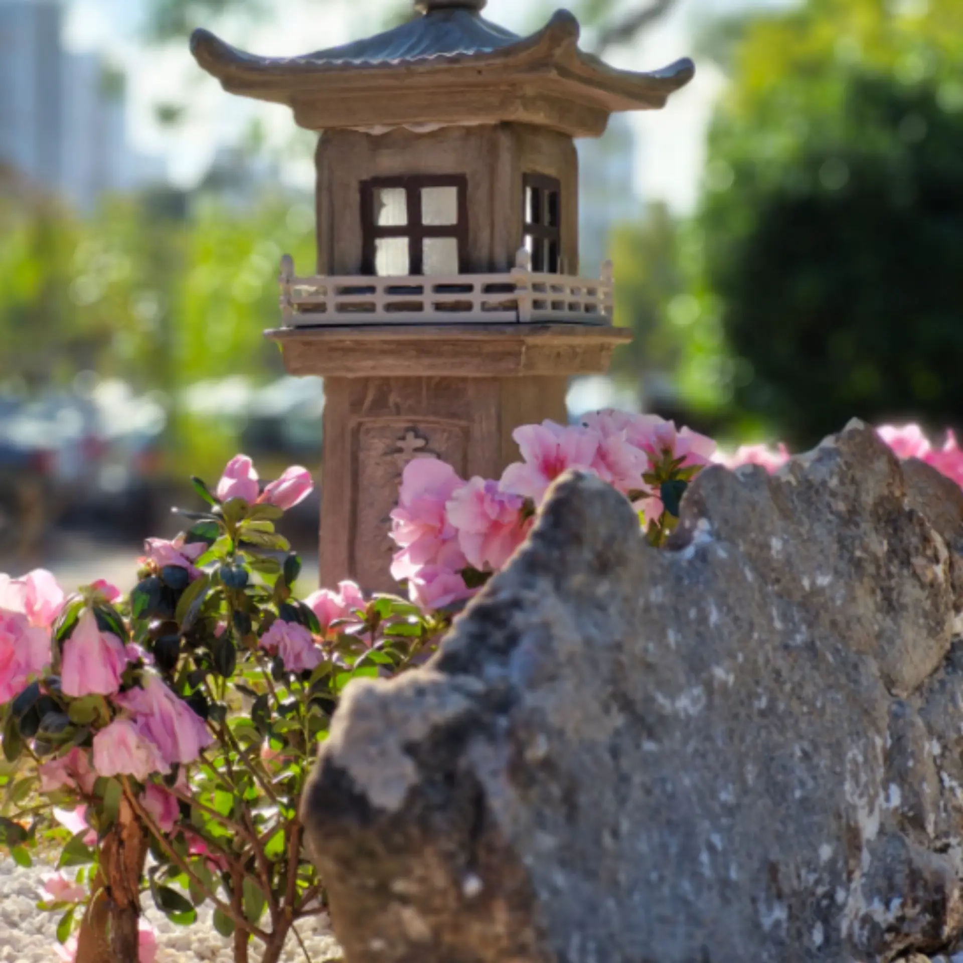 Foto — Jardim japonês